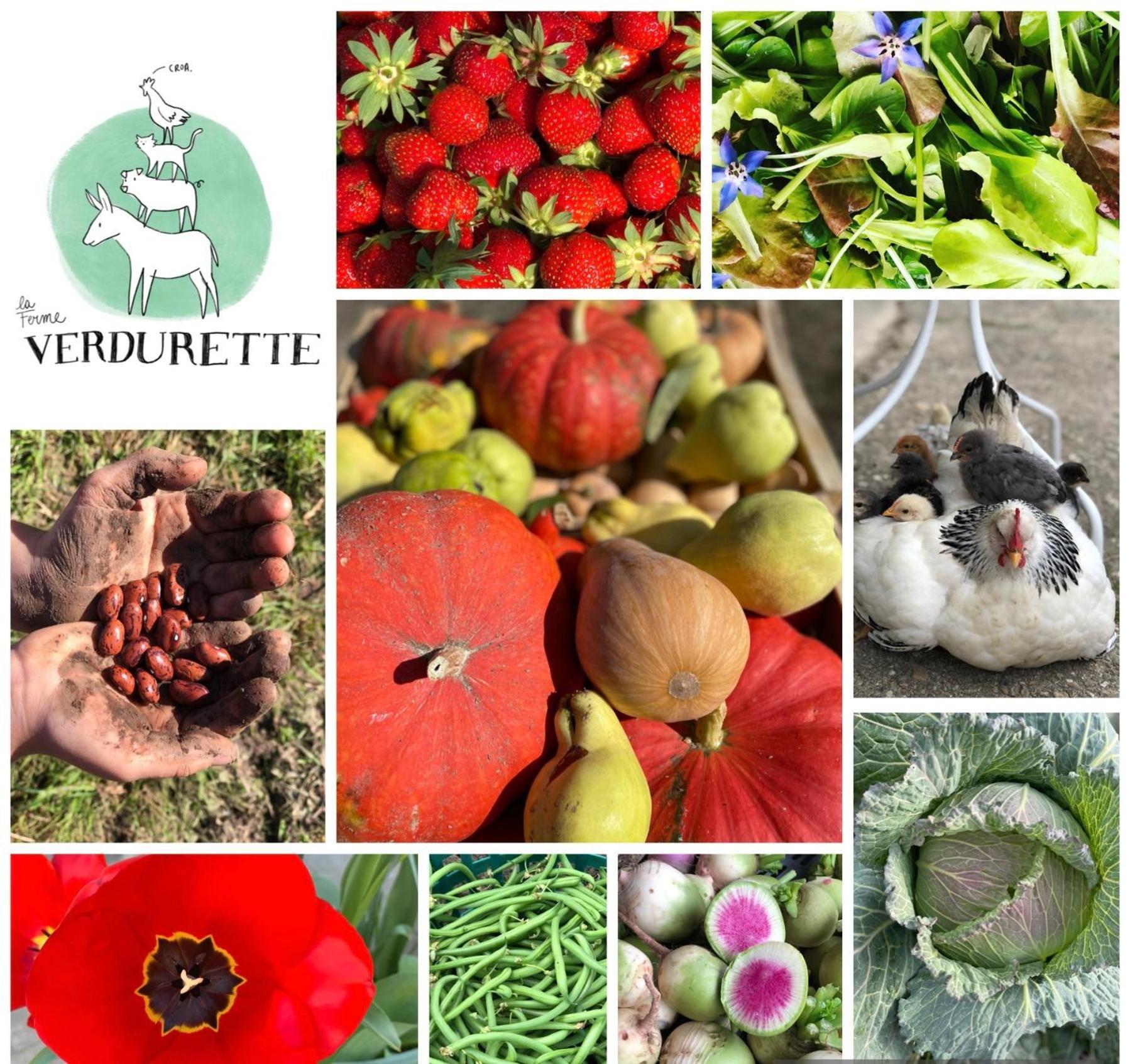 Gite A La Ferme De Verdurette Корд-сюр-Сьель Экстерьер фото